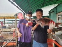 미리내좌대 바다낚시조황 > 당진미리내바다좌대8월첫주중조황입니다 : 낚시사랑