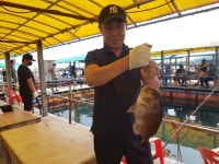 미리내좌대 바다낚시조황 > 당진미리내바다좌대8월30일조황입니다 : 낚시사랑