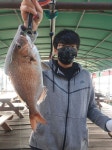 도비도와따 바다낚시조황 > 10월 17일에 일 당진 도비도항 와따좌대!실시간조황!! : 낚시사랑
