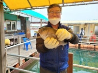 미리내좌대 바다낚시조황 > 당진미리내바다좌대4월22,23일조황입니다 : 낚시사랑