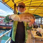 미리내좌대 바다낚시조황 > 7월15,16일조황입니다 : 낚시사랑