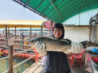 만길호 바다낚시조황 > 10월19일~20일 자연산고등어,숭어... 낚시사랑  만길호 바다낚시조황 > 10월19일~20일 자연산고등어,숭어,서비스선상쭈... 