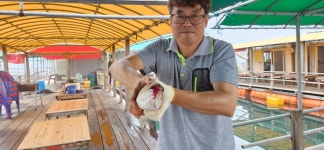 미리내좌대 바다낚시조황 > 당진도비도 7월둘째주 조황입니다 : 낚시사랑