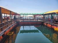 미리내좌대 바다낚시조황 > 당진도비도 5월13,14일조황입니다 : 낚시사랑