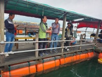 미리내좌대 바다낚시조황 > 당진도비도 6월8일조황입니다 : 낚시사랑