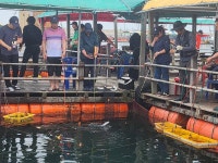 미리내좌대 바다낚시조황 > 당진도비도 6월15일조황입니다 : 낚시사랑