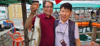 미리내좌대 바다낚시조황 > 당진도비도6월29일조황입니다 : 낚시사랑  미리내좌대 바다낚시조황 > 당진도비도6월29일조황입니다 : 낚시사랑