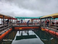 미리내좌대 바다낚시조황 > 당진도비도 9월둘째주중조황입니다 : 낚시사랑