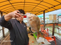 미리내좌대 바다낚시조황 > 당진도비도 9월셋째주조황입니다 : 낚시사랑
