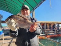 황산초지사계절바다낚시터 바다낚시조황 > [강화] 황산초지 사계절 바다낚시터 04월28일조황사진 : : 낚시사랑