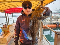 미리내좌대 바다낚시조황 > 당진도비도 5월11일조황입니다 : 낚시사랑