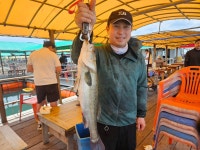 미리내좌대 바다낚시조황 > 당진도비도 7월5일조황입니다 : 낚시사랑