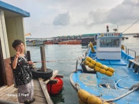 미리내좌대 바다낚시조황 > 당진도비도 7월6일조황입니다 : 낚시사랑