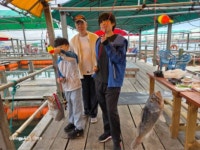 해성좌대 바다낚시조황 > 당진 해성호좌대 3월31일 조황정보 : 낚시사랑