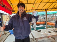 스타좌대 바다낚시조황 > [스타바다좌대낚시터] 6월 17일 월요일 주간조황 및 야간조황 : 낚시사랑