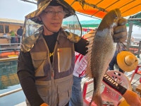 미리내좌대 바다낚시조황 > 당진도비도5월29일조황입니다 : 낚시사랑