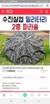 중고낚시용품 > 파라솔 수진52/4회사용/13만 : 낚시사랑