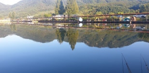 중고낚시용품 > 신수향2 32쌍포, 신수향 받침대 3절 2개 구합니다 : 낚시사랑