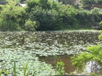 중고낚시용품 > 동와 기록 3절받침대 짧은대 구해요 : 낚시사랑