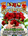 행복한 5월은 선물입니다.