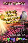 조금늦은 목요일 아칭을 열고.