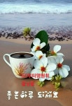 좋은하루 되세요