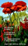 화요일