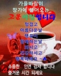 화요일