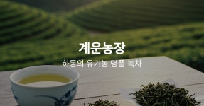 (장문, 스압) 차린이의 하동 야생차축제 막차 탑승 후기 - 차, 음료 갤러리