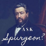 Audiobooks written by dave | Audible.com