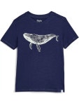 Boys T Shirts + FREE SHIPPING | Clothing | Zappos.com