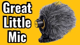 Watch Two Mics In One - Deity V-Mic D4 Mini Microphone on Amazon Live
