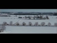 Killshot: Trailer