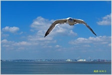 가을 들판 + 함상 공원 - 자유계시판 - 용돌이 사랑방 가을 들판 + 함상 공원