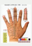 수지침 혈자리 상세 보기 - ├……수지침 자료실 - 건강한 삶을 열어가는 힐링라이프 건강한 삶을 열어가는 힐링라이프