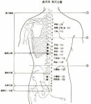 왼쪽 갈비대 중간지점 대포혈 통증 제니센 치료 사례기 - ▣ 제니센 치료 상담사례 - 건강한 삶을 열어가는 힐링라이프 건강한 삶을 열어가는... 