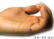 아킬레스건 석회성건염 원인과 치유 방법 - ▣ 제니센 터치 치유상담 - 건강한 삶을 열어가는 힐링라이프 어깨 석회성건염. 팔꿈치 석회성건염.... 