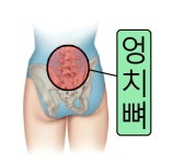 5요추~ 선골 1번 허리 디스크 환자 제니센 치료 사례기 - ▣ 제니센 치료 상담사례 - 건강한 삶을 열어가는 힐링라이프 건강한 삶을 열어가는... 
