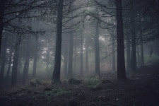 Stillness on Behance