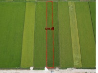 경매마당 공매정보 2013-070432-380의 시세, 권리분석, 상세정보