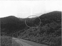 경매마당 공매정보 2015-00007-001의 시세, 권리분석, 상세정보