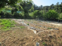 경매마당 공매정보 2023-12697-001의 시세, 권리분석, 상세정보