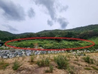 경매마당 공매정보 2023-13409-001의 시세, 권리분석, 상세정보