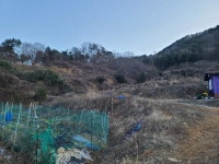 경매마당 공매정보 2023-17197-001의 시세, 권리분석, 상세정보