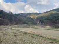 경매마당 공매정보 2023-18579-001의 시세, 권리분석, 상세정보