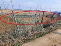 경매마당 공매정보 2024-01608-001의 시세, 권리분석, 상세정보