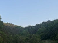 경매마당 공매정보 2024-03480-001의 시세, 권리분석, 상세정보