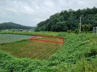 경매마당 공매정보 2024-10144-003의 시세, 권리분석, 상세정보