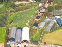 경매마당 공매정보 2024-101486-468의 시세, 권리분석, 상세정보