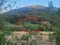 경매마당 공매정보 2024-11122-001의 시세, 권리분석, 상세정보